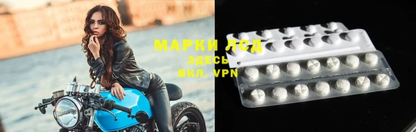 шишки Снежногорск