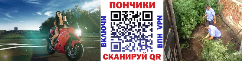 Каннабис конопля  Купить закладки  Калининград 